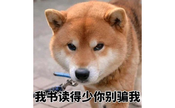 我书读得少你别骗我 - 柴犬表情包系列