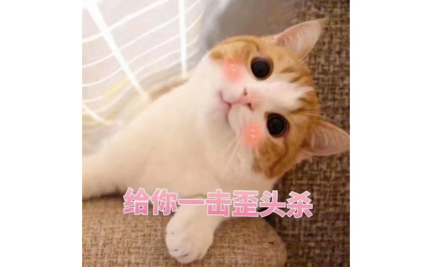  - 一组萌萌的猫咪表情包，一起吸猫