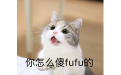 你怎么傻 fufu的（傻乎乎的） - 一组猫咪表情包，一起吸猫吧 ​