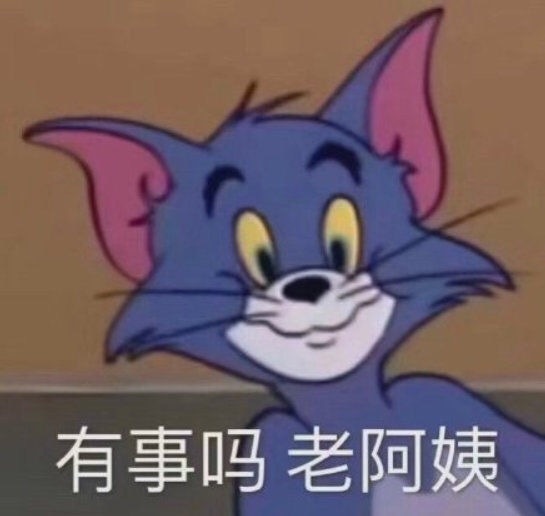 有事吗老阿姨(汤姆猫表情包)