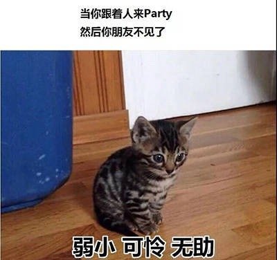 当你跟着人来Party 然后你朋友不见了弱小可怜无助 - 社交恐惧症的日常