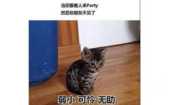 当你跟着人来Party 然后你朋友不见了弱小可怜无助 - 社交恐惧症的日常