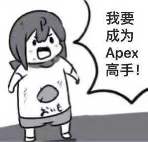 我要成为Apex 高手!