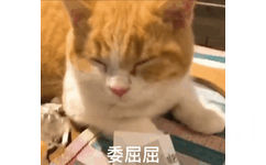 委屈屈（猫咪流泪） - 一组萌萌哒小猫咪动态表情包 ​