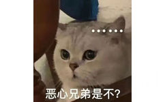 恶心兄弟是不?