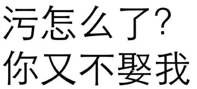 污怎么了？你又不娶我 - 纯文字表情包