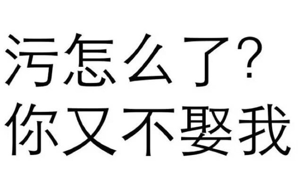 污怎么了？你又不娶我 - 纯文字表情包