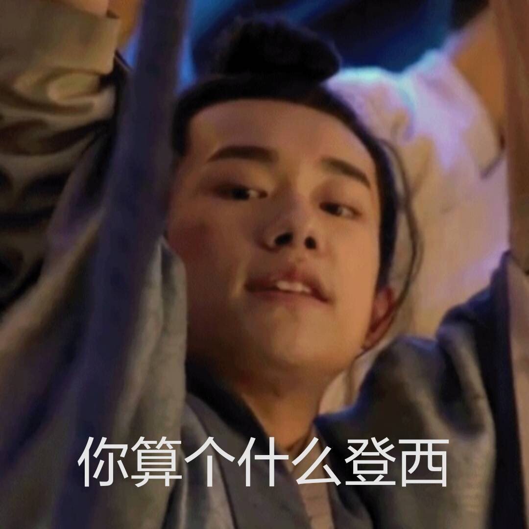 你算个什么登西