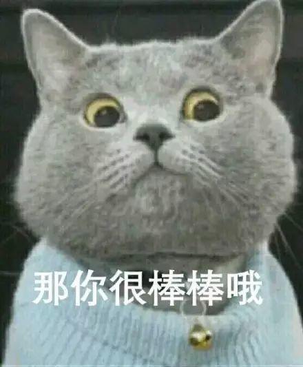 那你很棒棒哦 - 网红猫表情包系列​