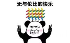无以伦比的快乐 - 熊猫头快乐风车表情包