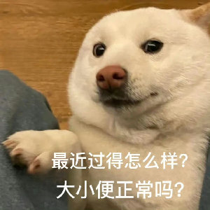 最近过得怎么样？大小便正常吗？