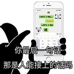 你最后一句话那是人能接上的话那？ - 熊猫头套路回消息表情包