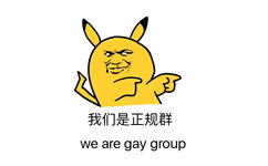 我们是正规群（we are gay group）