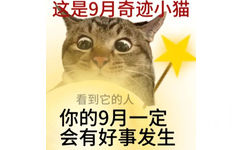 这是9月奇迹小猫看到它的人你的9月一定会有好事发生