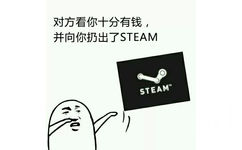 对方看你十分有钱，并向你扔出了STEAM