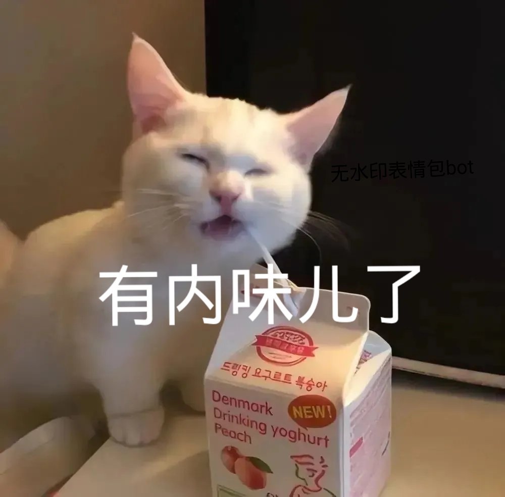 有内味了（猫咪表情包）