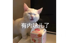 有内味了（猫咪表情包）