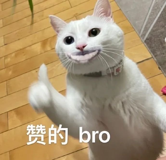 赞的bro(猫猫表情包)