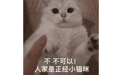 不  不可以！人家是正经小猫咪