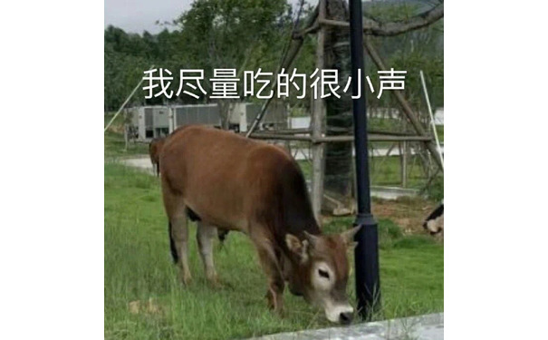 我尽量吃的很小声