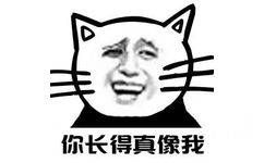 你长得真像我 - 小猫金馆长表情