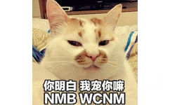 你明白我宠你嘛NMBWCNM(猫咪怼人表情)