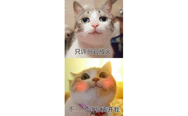 猫咪：只许州官放火，不许你离开我