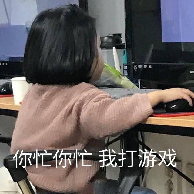 你忙你忙 我打游戏 - 热门表情包精选-2017/09/03