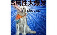 S属性大爆发shut up