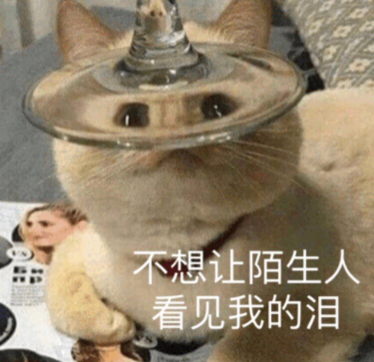 不想让陌生人看见我的泪 - 一组可爱猫咪狗子表情包