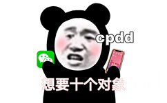 cpdd 想要十个对象