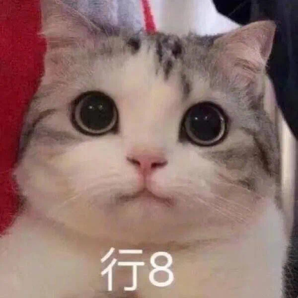 行8 熊猫头表情包