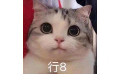 行8 熊猫头表情包