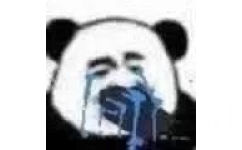 熊猫头泪流表情包 - 熊猫头哭泣表情包