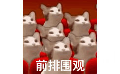 前排围观(猫咪表情包)