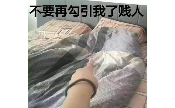 不要再勾引我了贱人