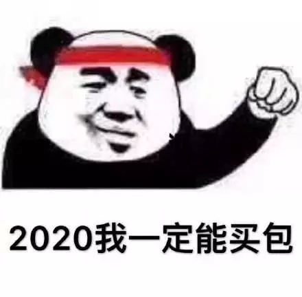 2020我一定能买包 - 熊猫头：2020我一定能成功