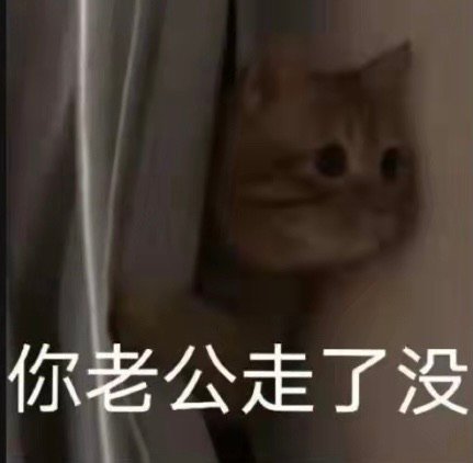 你老公走了没(猫咪表情包)