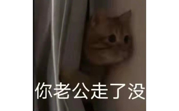 你老公走了没(猫咪表情包)