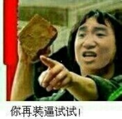 你再装逼试试！老子一砖头拍死你！ - 请开始你的搬砖表演