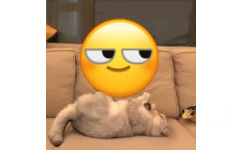 猫咪盘emoji - 万物皆可盘猫咪动态表情包