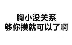 胸小没关系 够你摸就可以了啊 - 撤回有用吗？出卖的尊严还能收回吗？ （纯文字表情包）