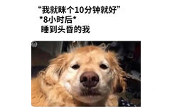 “我就眯个10分钟就好”8小时后睡到头昏的我(meme表情包)