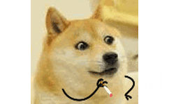 狗子 doge 抽烟 GIF