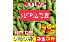 新鲜毛豆处CP送毛豆无农残坏单包赔纯天然5斤现摘现发净重5