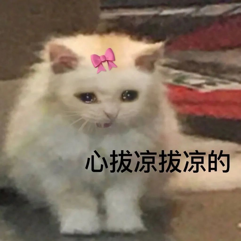 心拔凉拔凉的(流泪猫咪表情包)