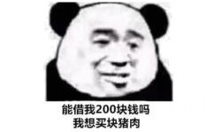 能借我200块钱吗，我想买块猪肉（熊猫头表情包）