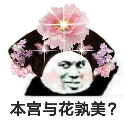 本宫与花孰美?(熊猫头表情包)