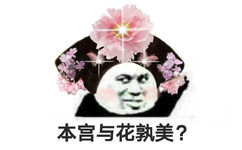 本宫与花孰美?(熊猫头表情包)