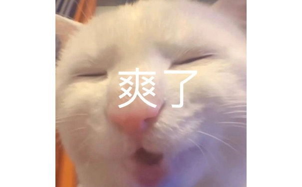 爽了(猫猫表情包)